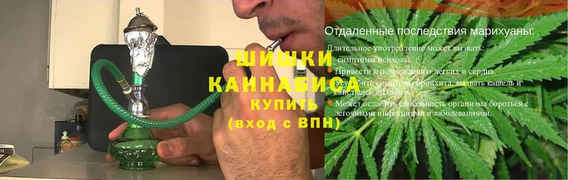 где купить   Беломорск  Конопля OG Kush 